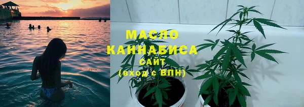 гашик Вяземский
