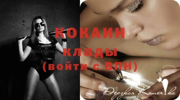 гашик Вяземский