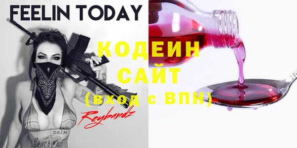 гашик Вяземский
