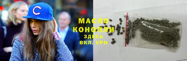 гашик Вяземский