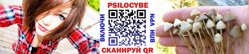 купить наркотик  Жигулёвск  Псилоцибиновые грибы мицелий 